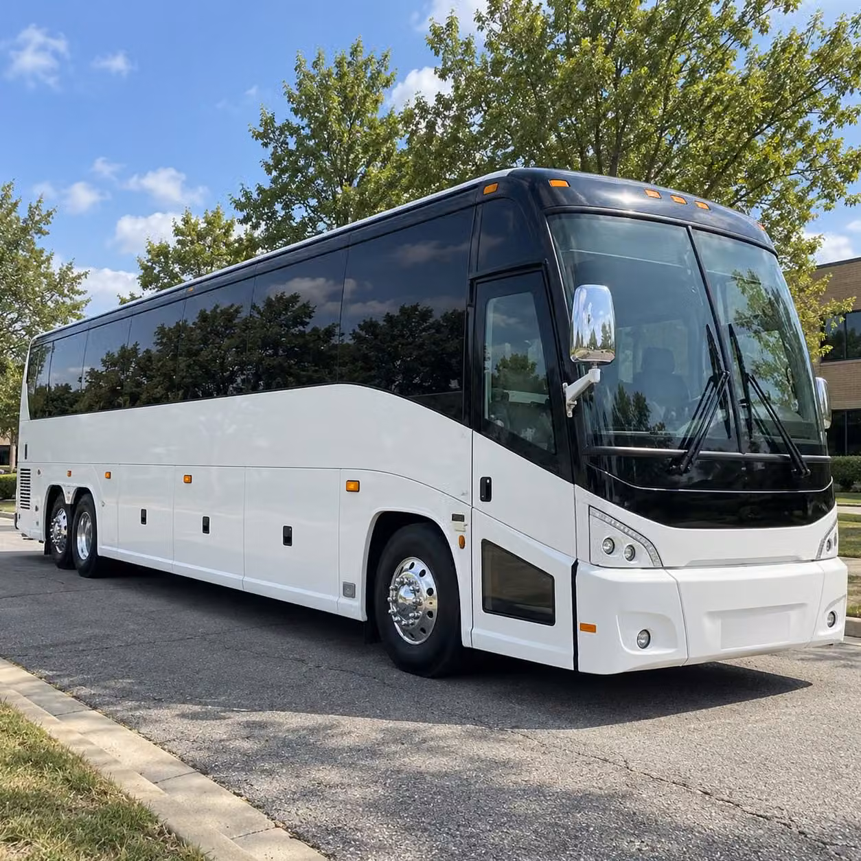charter bus rentals for santa barbara school field trips to the museum of natural history and beyond